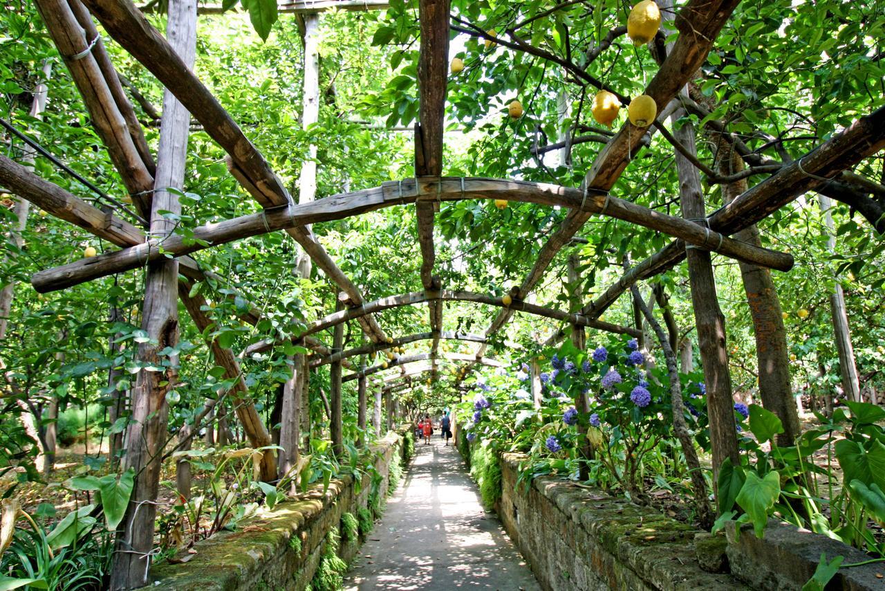 I Giardini Di Cataldo Sorrento Villa Exterior photo