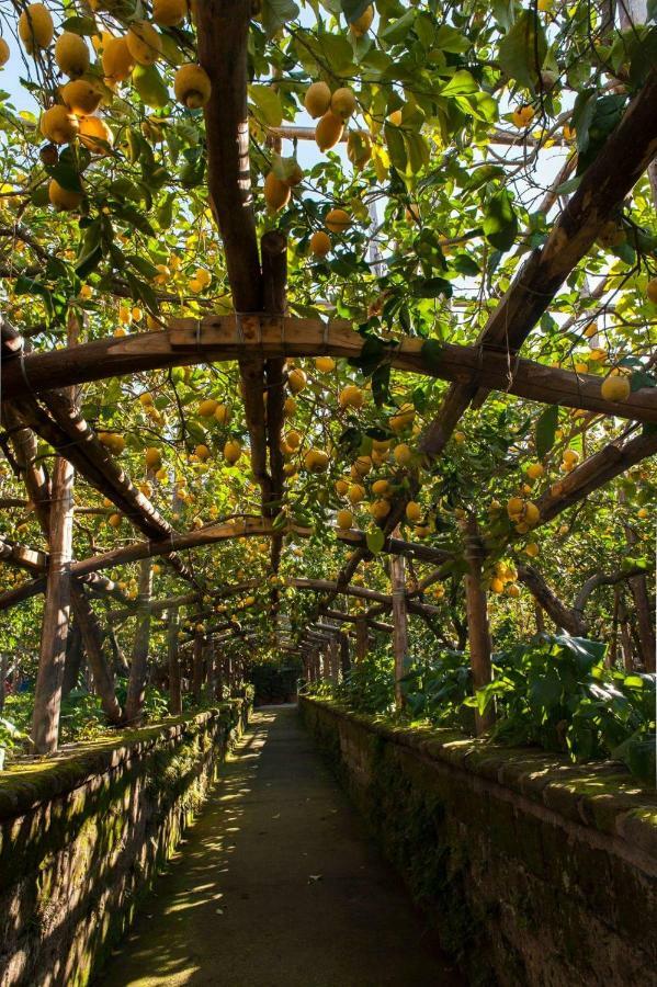 I Giardini Di Cataldo Sorrento Villa Exterior photo